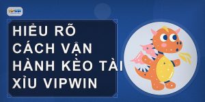 Hiểu rõ cách vận hành kèo tài xỉu VIPWIN