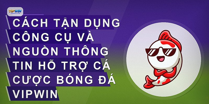 Cách tận dụng công cụ và nguồn thông tin hỗ trợ cá cược bóng đá VIPWIN